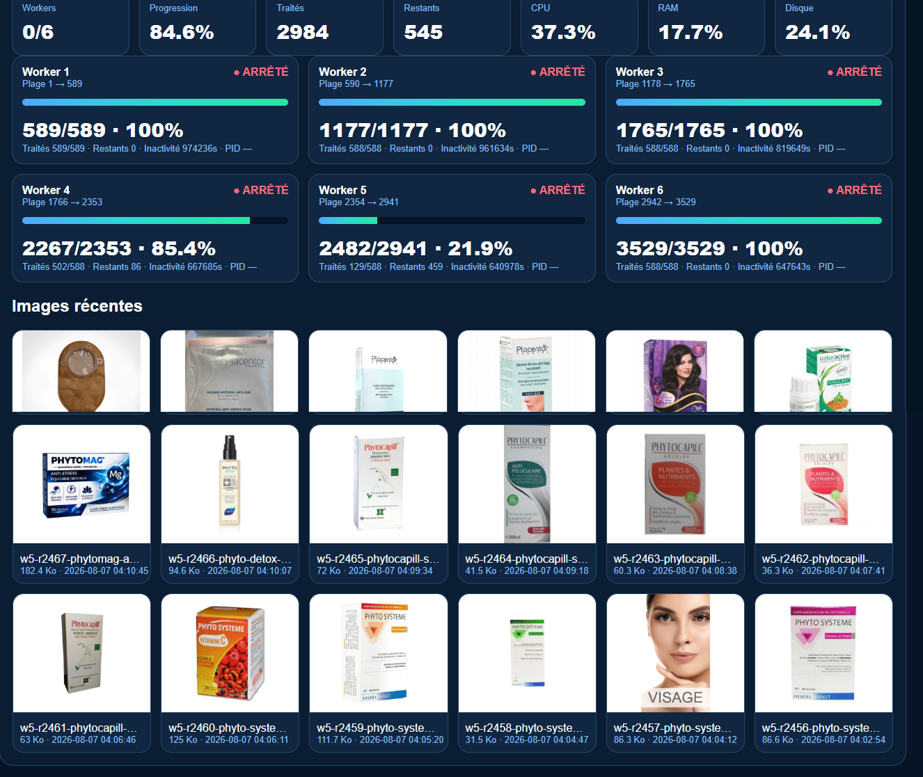 Dashboard showing six-worker parallel product catalog recovery and processing